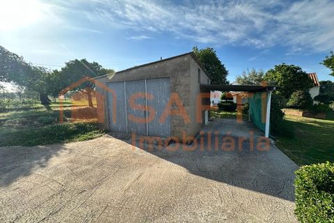 Erhvervsejendom i Abrantes, Santarem, Abrantes - € 780.000 | Ref: SAFTI:008234 - foto 27