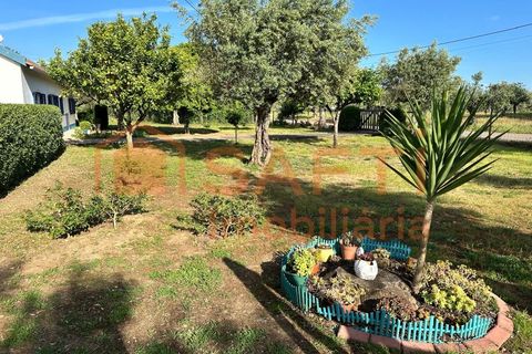 Erhvervsejendom i Abrantes, Santarem, Abrantes - € 780.000 | Ref: SAFTI:008234 - foto 28