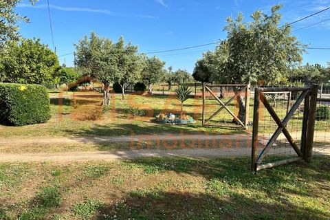 Erhvervsejendom i Abrantes, Santarem, Abrantes - € 780.000 | Ref: SAFTI:008234 - foto 29