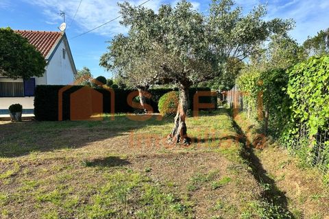 Erhvervsejendom i Abrantes, Santarem, Abrantes - € 780.000 | Ref: SAFTI:008234 - foto 31