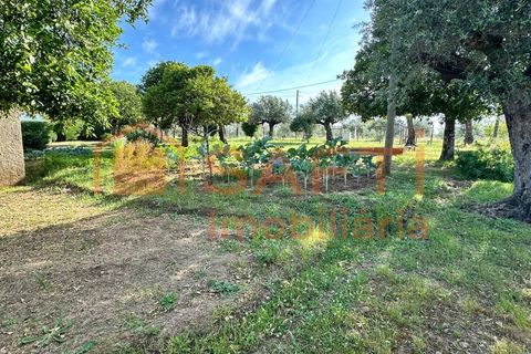 Erhvervsejendom i Abrantes, Santarem, Abrantes - € 780.000 | Ref: SAFTI:008234 - foto 32