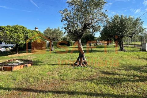 Erhvervsejendom i Abrantes, Santarem, Abrantes - € 780.000 | Ref: SAFTI:008234 - foto 33