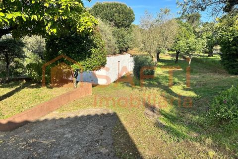 Erhvervsejendom i Abrantes, Santarem, Abrantes - € 780.000 | Ref: SAFTI:008234 - foto 34