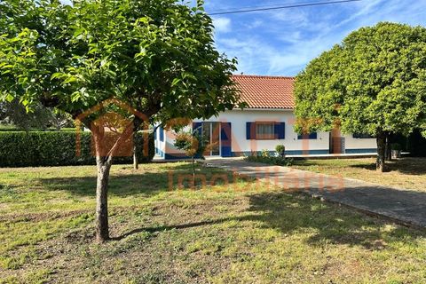 Erhvervsejendom i Abrantes, Santarem, Abrantes - € 780.000 | Ref: SAFTI:008234 - foto 35