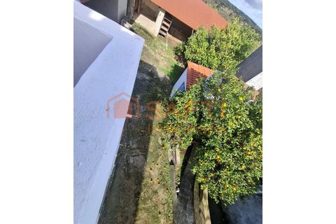 Farm i Arez e Amieira do Tejo, Portalegre, Arez e Amieira do Tejo - € 175.000 | Ref: SAFTI:008231 - foto 18