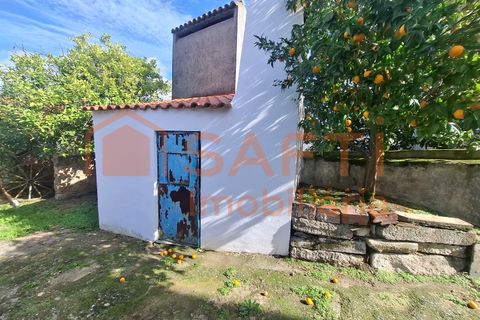 Farm i Arez e Amieira do Tejo, Portalegre, Arez e Amieira do Tejo - € 175.000 | Ref: SAFTI:008231 - foto 19