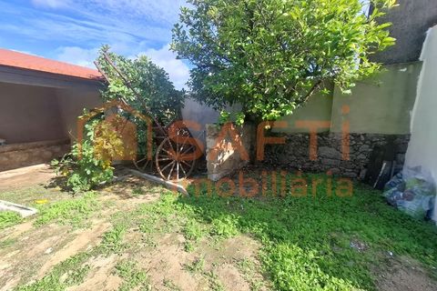 Farm i Arez e Amieira do Tejo, Portalegre, Arez e Amieira do Tejo - € 175.000 | Ref: SAFTI:008231 - foto 22