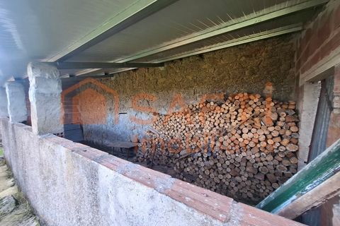 Farm i Arez e Amieira do Tejo, Portalegre, Arez e Amieira do Tejo - € 175.000 | Ref: SAFTI:008231 - foto 28
