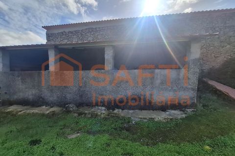 Farm i Arez e Amieira do Tejo, Portalegre, Arez e Amieira do Tejo - € 175.000 | Ref: SAFTI:008231 - foto 30