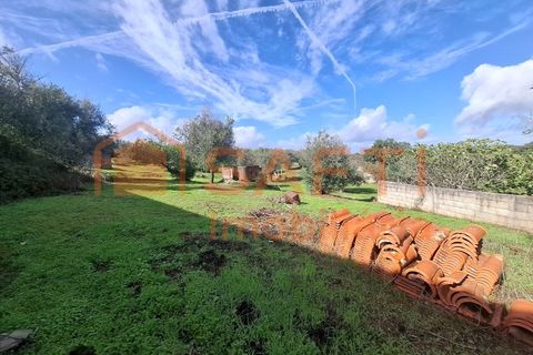 Farm i Arez e Amieira do Tejo, Portalegre, Arez e Amieira do Tejo - € 175.000 | Ref: SAFTI:008231 - foto 31