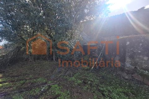 Farm i Arez e Amieira do Tejo, Portalegre, Arez e Amieira do Tejo - € 175.000 | Ref: SAFTI:008231 - foto 32