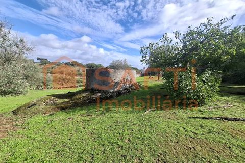 Farm i Arez e Amieira do Tejo, Portalegre, Arez e Amieira do Tejo - € 175.000 | Ref: SAFTI:008231 - foto 33
