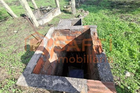 Farm i Arez e Amieira do Tejo, Portalegre, Arez e Amieira do Tejo - € 175.000 | Ref: SAFTI:008231 - foto 35