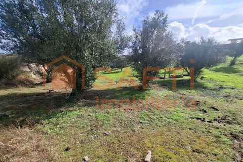 Farm i Arez e Amieira do Tejo, Portalegre, Arez e Amieira do Tejo - € 175.000 | Ref: SAFTI:008231 - foto 36