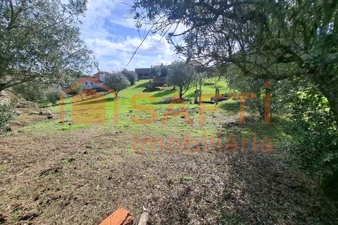 Farm i Arez e Amieira do Tejo, Portalegre, Arez e Amieira do Tejo - € 175.000 | Ref: SAFTI:008231 - foto 37