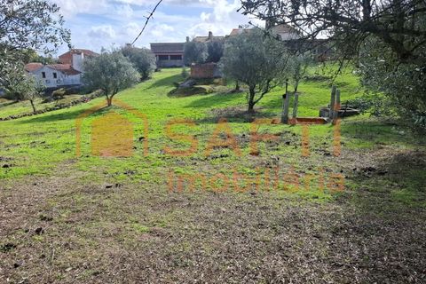 Farm i Arez e Amieira do Tejo, Portalegre, Arez e Amieira do Tejo - € 175.000 | Ref: SAFTI:008231 - foto 38