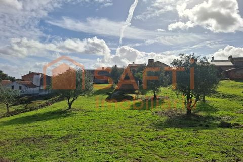 Farm i Arez e Amieira do Tejo, Portalegre, Arez e Amieira do Tejo - € 175.000 | Ref: SAFTI:008231 - foto 39