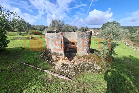 Farm i Arez e Amieira do Tejo, Portalegre, Arez e Amieira do Tejo - € 175.000 | Ref: SAFTI:008231 - foto 40