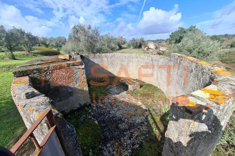 Farm i Arez e Amieira do Tejo, Portalegre, Arez e Amieira do Tejo - € 175.000 | Ref: SAFTI:008231 - foto 41