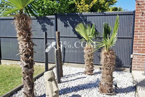 Villa a Saultain, Nord, Saultain - € 445.000 | Ref: 234_V3180063905 - foto 19