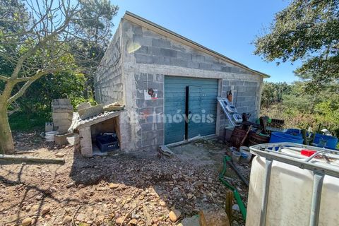 Terra em Abrantes, Santarem, Abrantes - € 39.000 | Ref: 01972-26 - foto 2