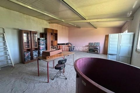 Terra em Abrantes, Santarem, Abrantes - € 39.000 | Ref: 01972-26 - foto 4