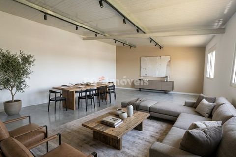 Terra em Abrantes, Santarem, Abrantes - € 39.000 | Ref: 01972-26 - foto 5