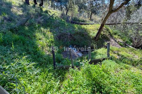 Terra em Abrantes, Santarem, Abrantes - € 39.000 | Ref: 01972-26 - foto 12