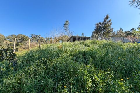 Terra em Abrantes, Santarem, Abrantes - € 39.000 | Ref: 01972-26 - foto 13