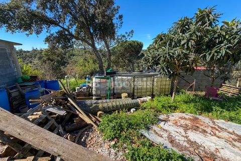 Terra em Abrantes, Santarem, Abrantes - € 39.000 | Ref: 01972-26 - foto 17