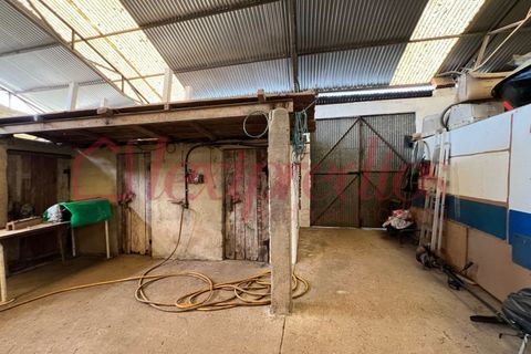 Villa i Agueda, Aveiro, Agueda - € 255.000 | Ref: AG 4270 - foto 20