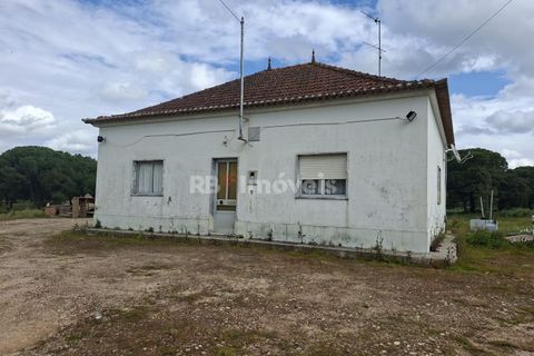 Farm i Coruche, Santarem, Coruche - € 199.000 | Ref: 01991-26 - foto 7