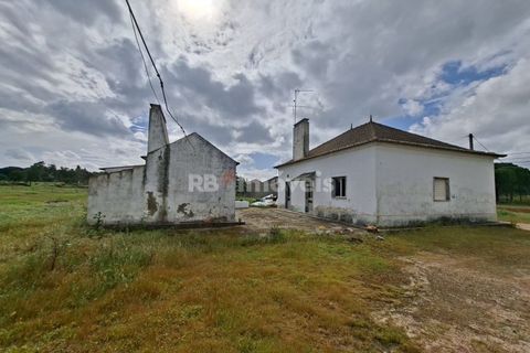 Farm i Coruche, Santarem, Coruche - € 199.000 | Ref: 01991-26 - foto 9