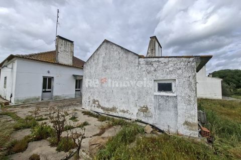 Farm i Coruche, Santarem, Coruche - € 199.000 | Ref: 01991-26 - foto 5