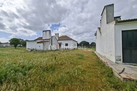 Farm i Coruche, Santarem, Coruche - € 199.000 | Ref: 01991-26 - foto 2