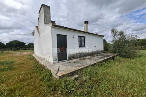 Farm i Coruche, Santarem, Coruche - € 199.000 | Ref: 01991-26 - foto 12