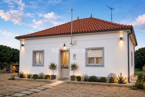 Farm i Coruche, Santarem, Coruche - € 199.000 | Ref: 01991-26 - foto 6