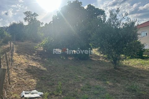 Helårsgrund i Sardoal, Santarem, Sardoal - € 44.000 | Ref: 02002-26 - foto 2