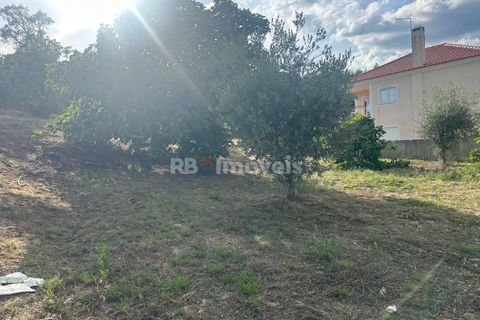 Helårsgrund i Sardoal, Santarem, Sardoal - € 44.000 | Ref: 02002-26 - foto 3