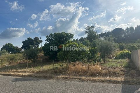 Helårsgrund i Sardoal, Santarem, Sardoal - € 44.000 | Ref: 02002-26 - foto 4