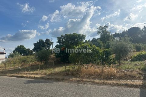 Helårsgrund i Sardoal, Santarem, Sardoal - € 44.000 | Ref: 02002-26 - foto 5