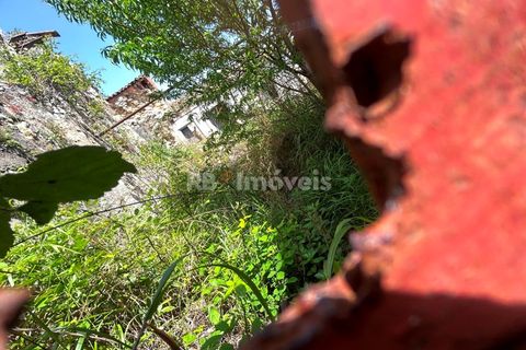 Ruinere i Olaia e Paco, Santarem, Olaia e Paco - € 70.000 | Ref: 01994-26 - foto 5