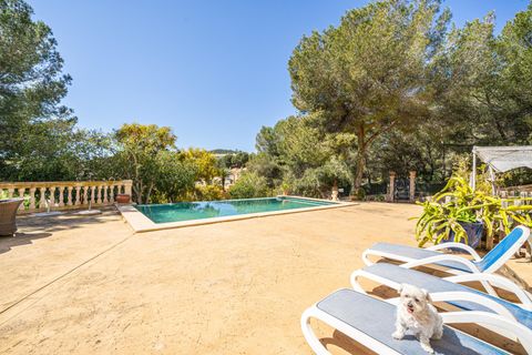 Villa i Calvia, Mallorca, Calvia - € 1.700.000 | Ref: 01JG064/3010 - foto 6