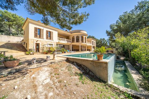 Villa i Calvia, Mallorca, Calvia - € 1.700.000 | Ref: 01JG064/3010 - foto 9