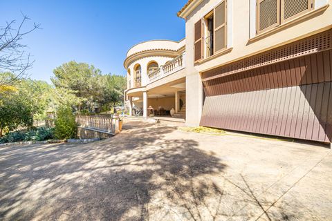 Villa i Calvia, Mallorca, Calvia - € 1.700.000 | Ref: 01JG064/3010 - foto 36