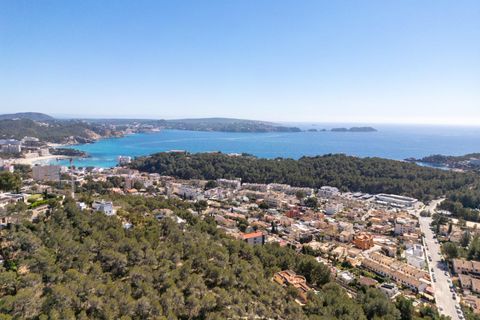 Villa i Calvia, Mallorca, Calvia - € 1.700.000 | Ref: 01JG064/3010 - foto 40