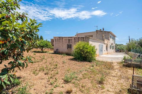 Villa a Santanyi, Mallorca, Santanyi - € 655.000 | Ref: 05LFLC036/3010 - foto 32
