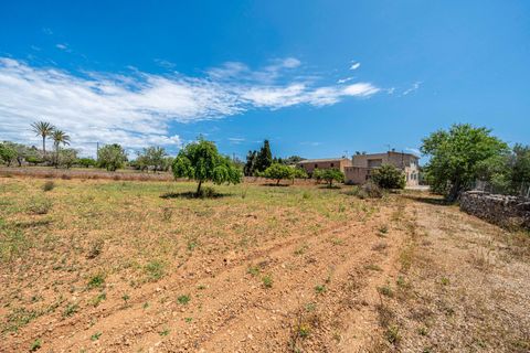 Villa a Santanyi, Mallorca, Santanyi - € 655.000 | Ref: 05LFLC036/3010 - foto 33