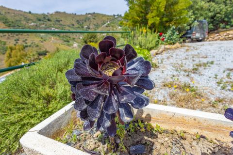 Cortijo i Competa, Malaga, Competa - € 365.000 | Ref: R5383705 - foto 29