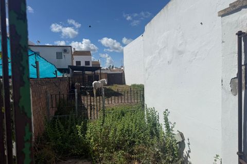 Villa a Almonte, Huelva, Almonte - € 1.900.000 | Ref: 14155-MJC/2912 - foto 6